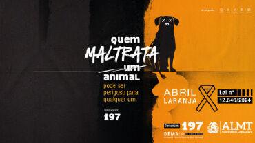 https://cdn.tvunica.com.br/storage/webdisco/2025/05/13/370x278/ec2b318a2b59947afb72a9278bb1246a.jpg