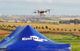 Foto: Embrapa Soja